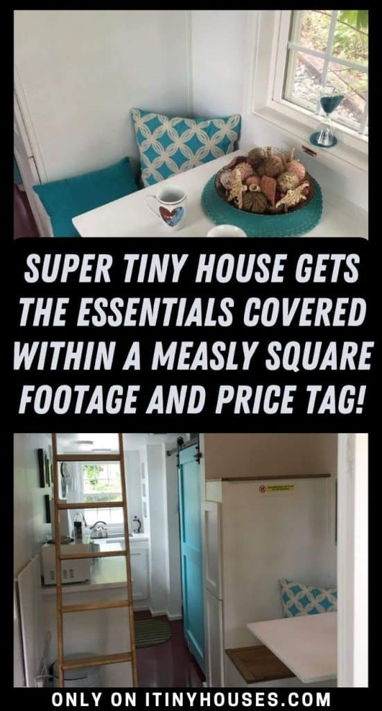 Super Tiny House Gets the Essentials Covered Within a Measly Square Footage and Price Tag! PIN (1)